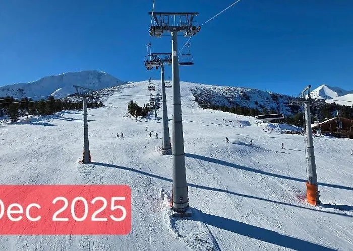 Harriet Hill Designer