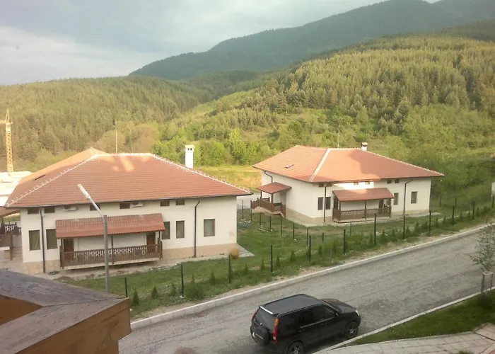 Harriet Hill Designer *