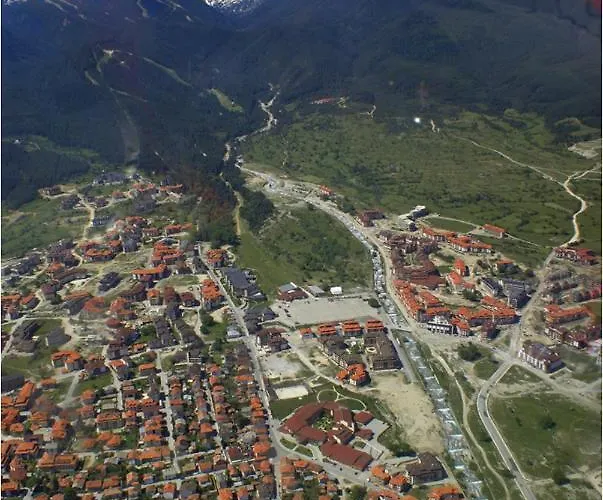 Harriet Hill Designer 班斯科